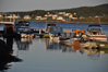 � Jackno - Tous droits r�serv�s